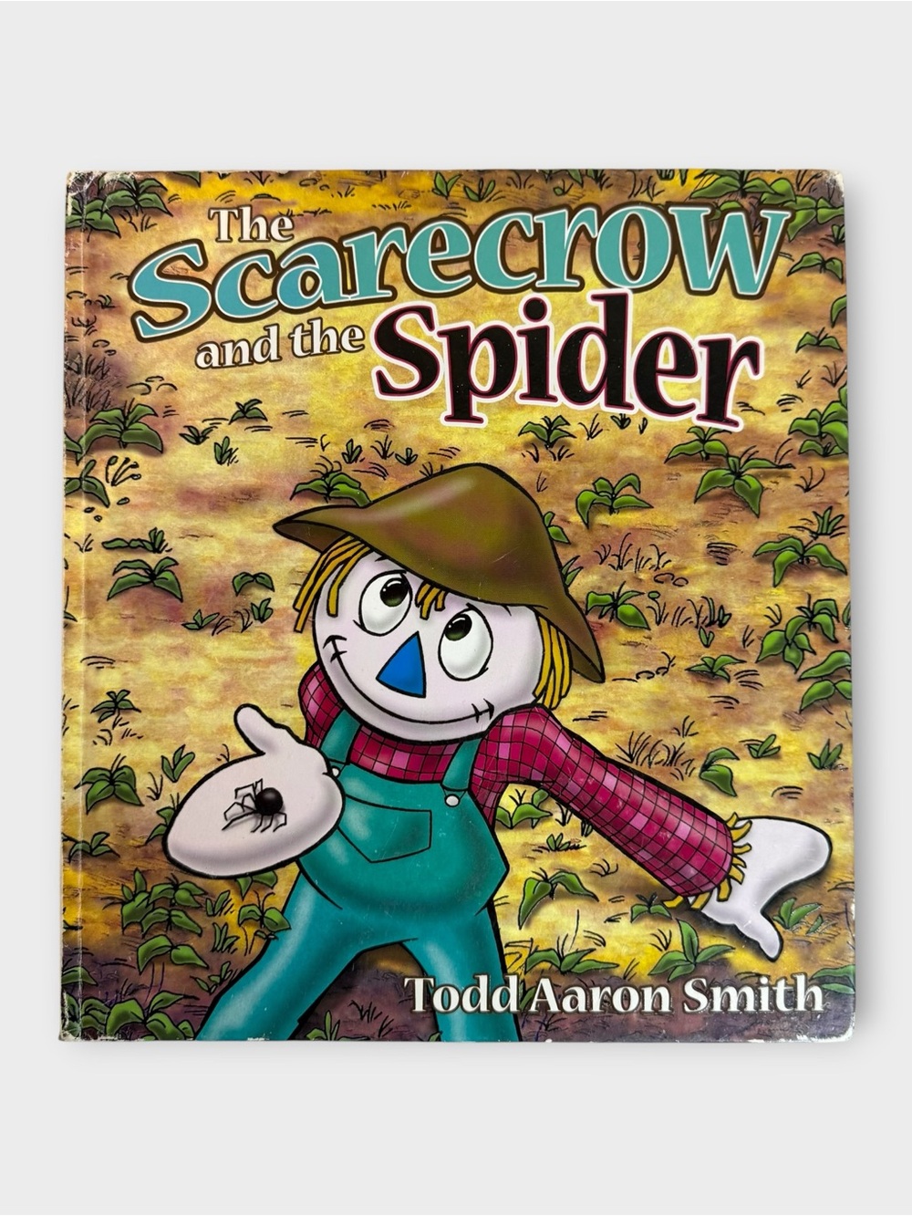 The Scarecrow and the Spider